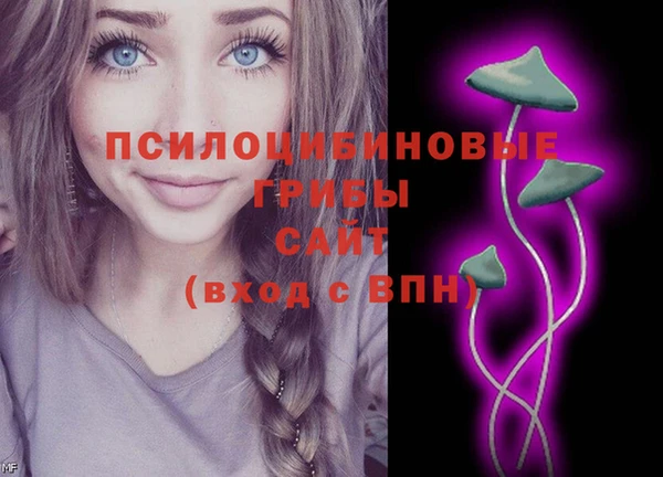 mdpv Алзамай