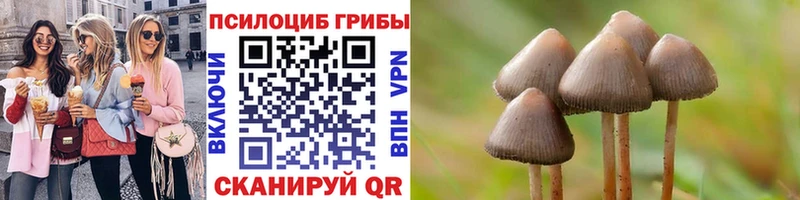 Псилоцибиновые грибы мицелий  Орлов 